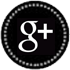 Sn-icon-google