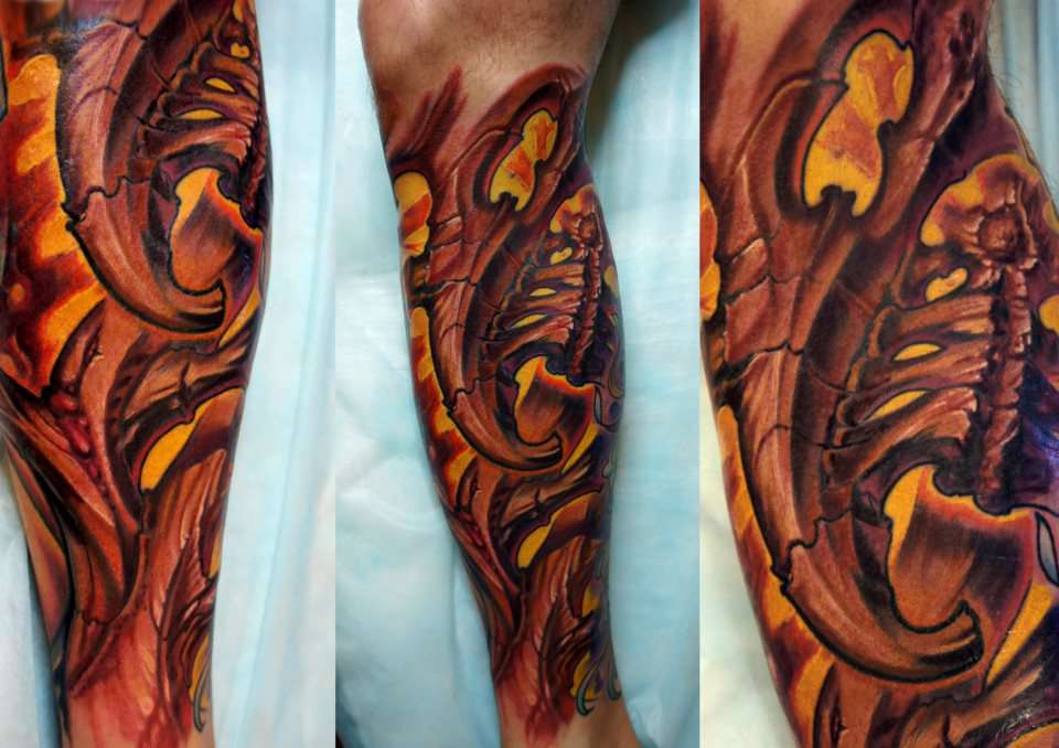 228206_558778454164130_1931321105_n