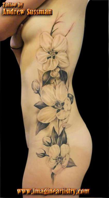 13892_10151468998225747_1622149935_n