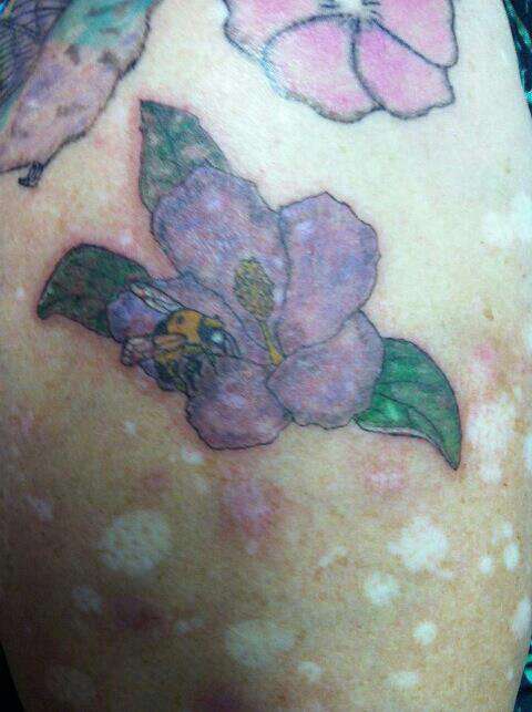 625663_459433517460437_1694577136_n