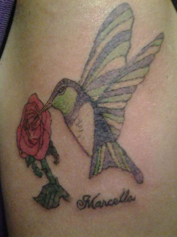 602196_459434930793629_624407027_n