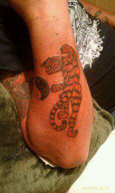 543149_459435864126869_964230923_n