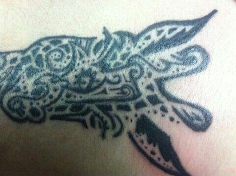 540033_459432907460498_95697801_n