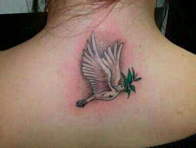 532784_459435194126936_659592327_n