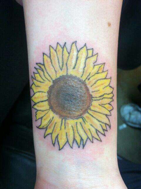 526537_459433884127067_1652522373_n