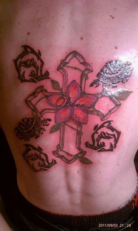 484135_459434757460313_773383235_n