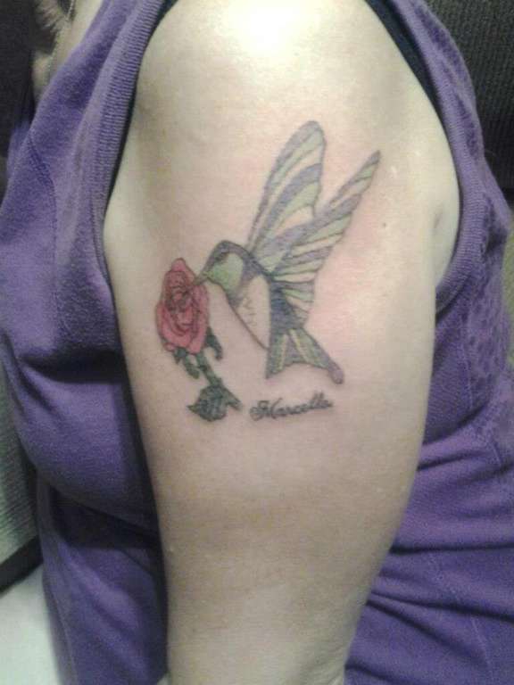 488207_459435187460270_1648909123_n