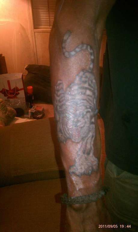 480301_459434774126978_244898193_n