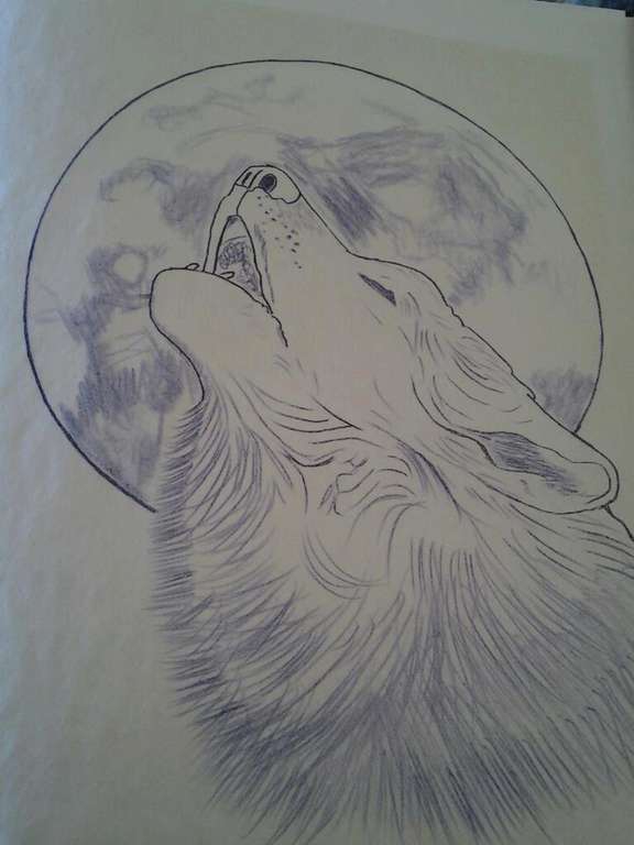 392853_459433994127056_98357214_n