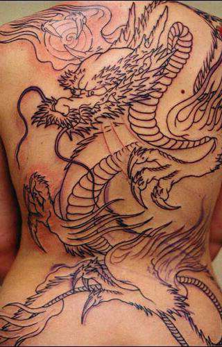 283242_459435627460226_79673265_n