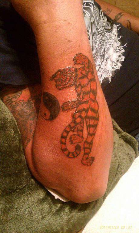 253759_459434560793666_142158985_n