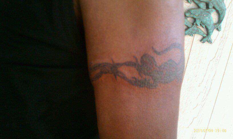 62321_459434624126993_299634323_n