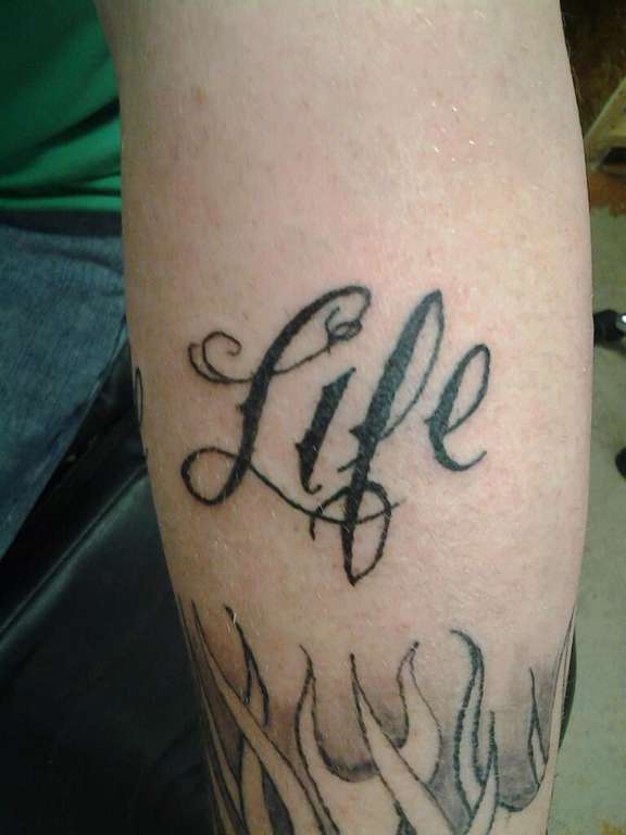 6741_459433247460464_2017161600_n