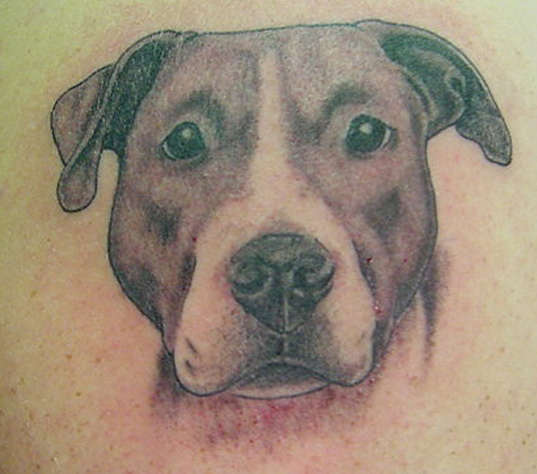 2859837269_6ff5126a33_o