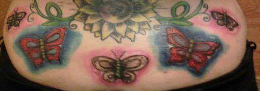 Butterflys-in_progress