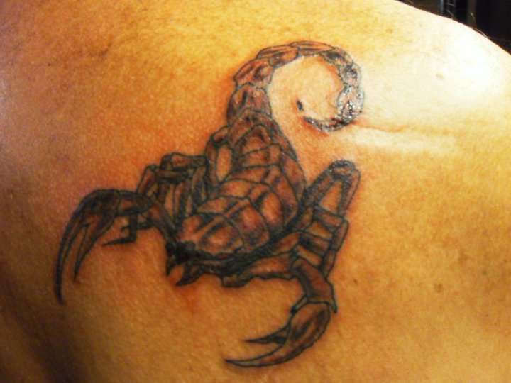 33420_406101069331_668829331_4512330_5799006_n