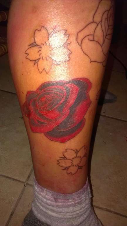 286079_390382011041267_927545622_o