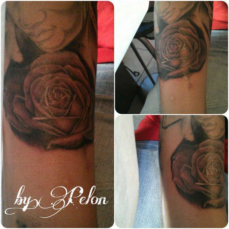 882176_438427586236709_378752301_o