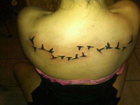 525365_280910535321749_2102308170_n