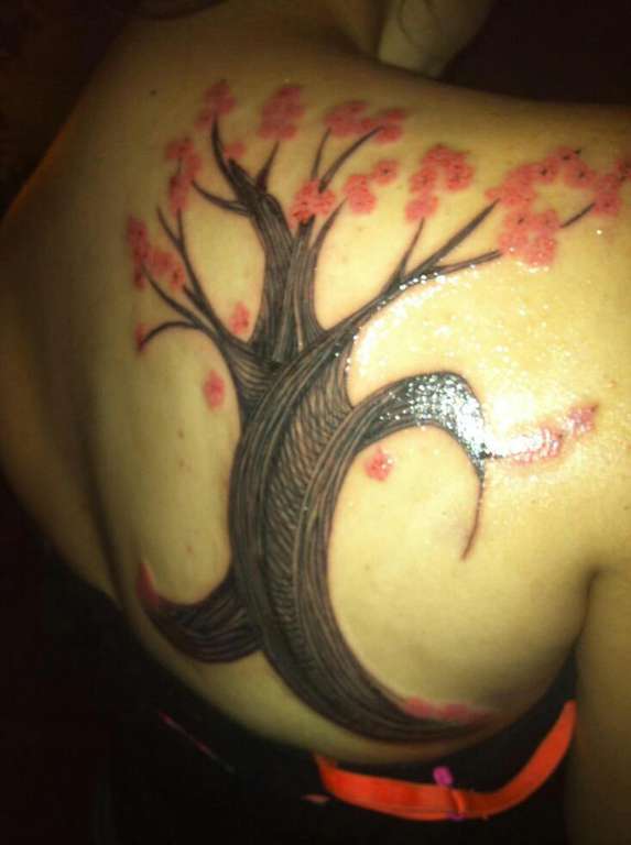 411341_390386907707444_1990067685_o