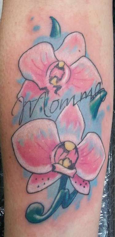 602799_302199793234003_157327728_n