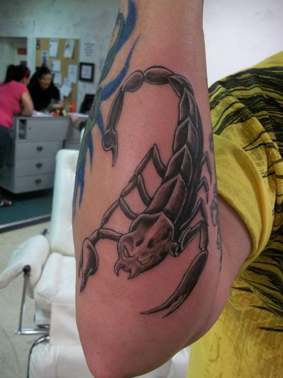 544179_347505115370137_1198063311_n