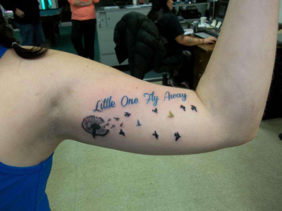 524887_298795273574455_830014095_n