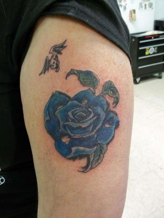 317965_305869832866999_643169062_n