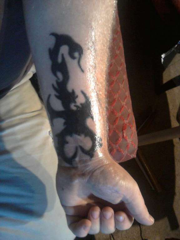 294360_266135606754092_1879946445_n