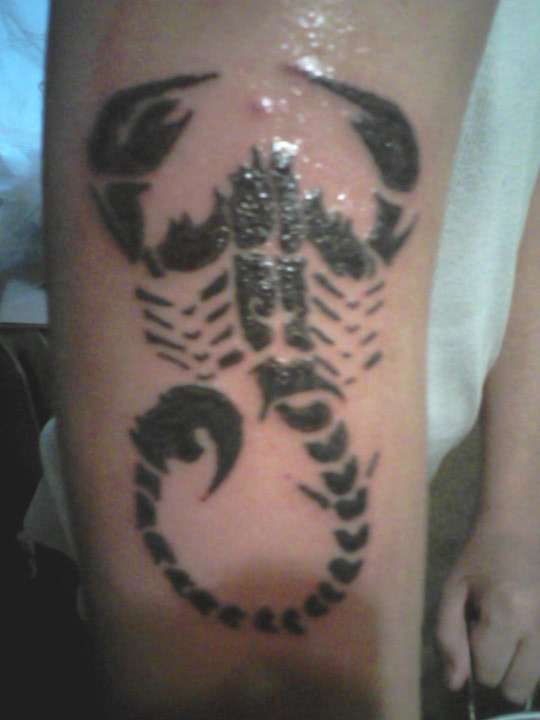 39279_136638663037121_6957040_n