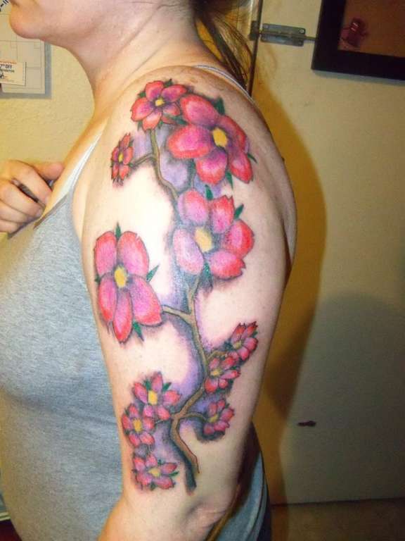 734830_391934957563226_1447768760_n