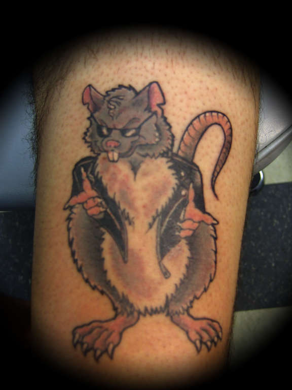 Rat