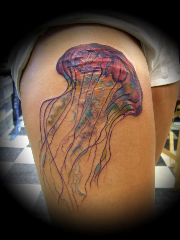 Jellyfish