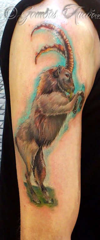 424720_421898811207444_1817898272_n