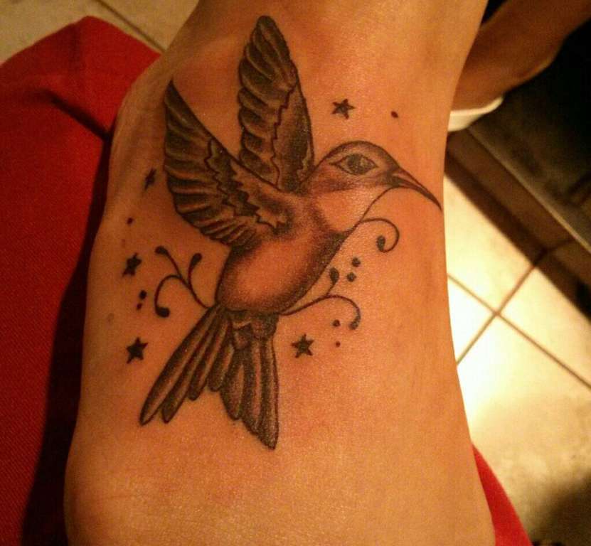 980299_463598717052929_2112680882_o