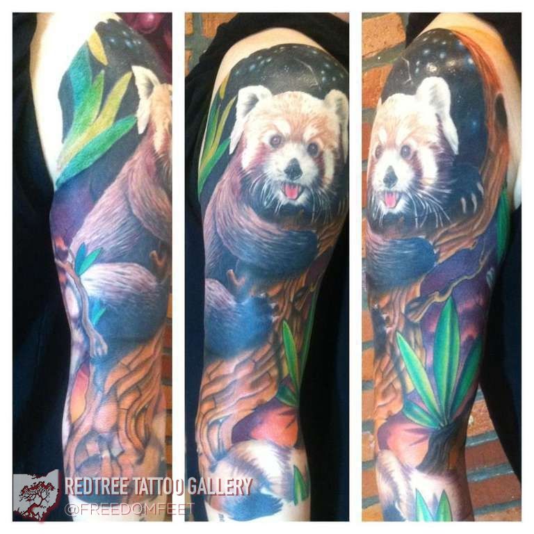 551651_369570576473095_699269680_n