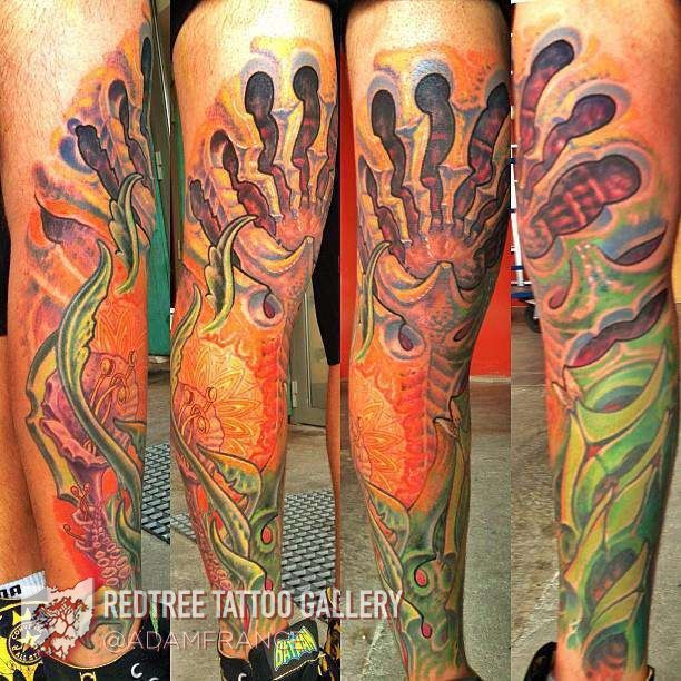 Biomech-in-france