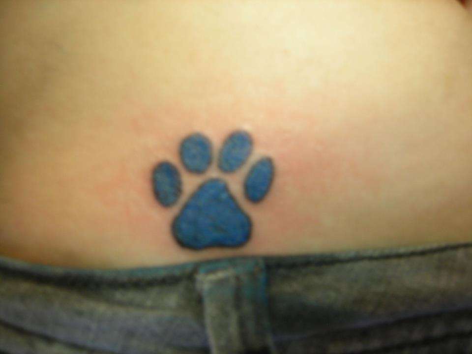 Paw_print