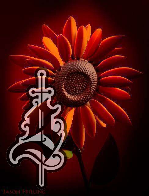 Sunflower_jason_frieling_digital_art