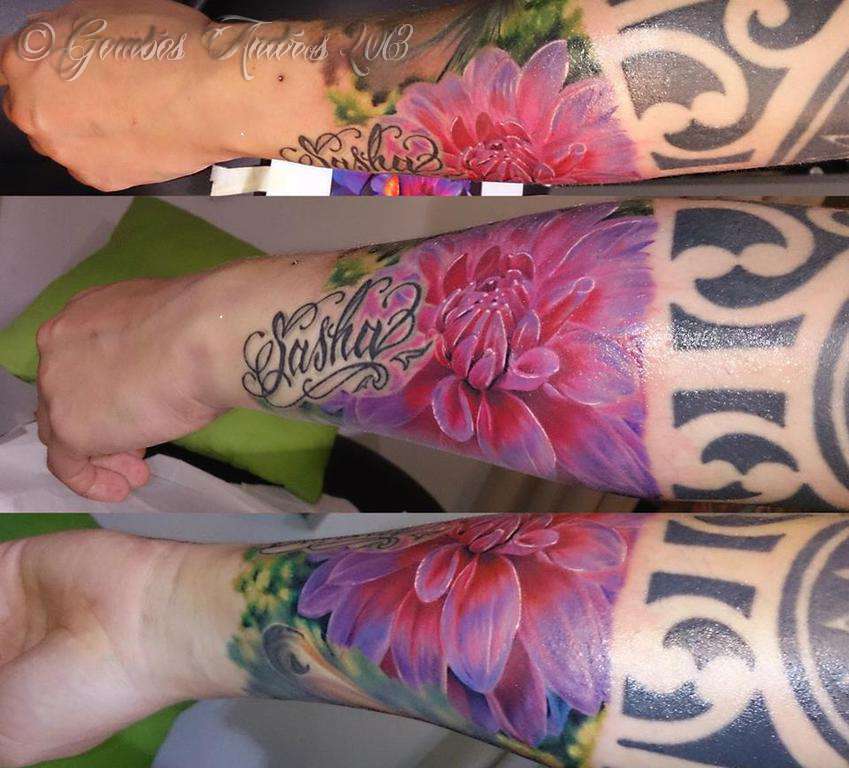 970036_544289318968392_827706598_n