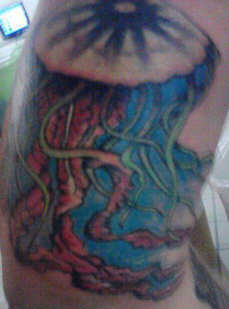 941255_375578219231066_237808784_n