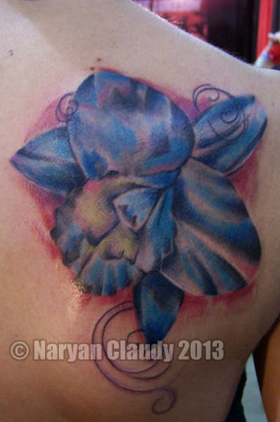 Orchidsite-260