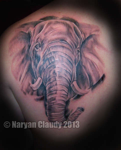 Elephantwebsite-1341