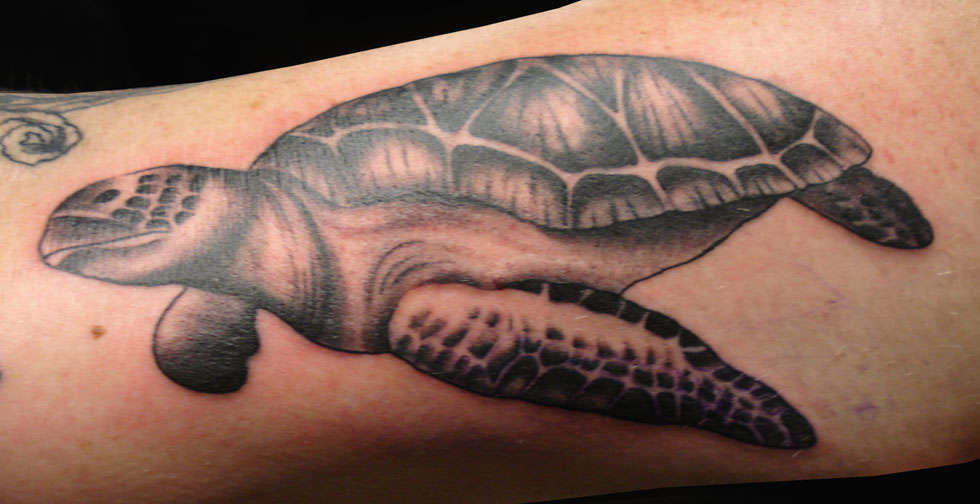 Club-tattoo-angel-galindo-san-francisco-turtle-74