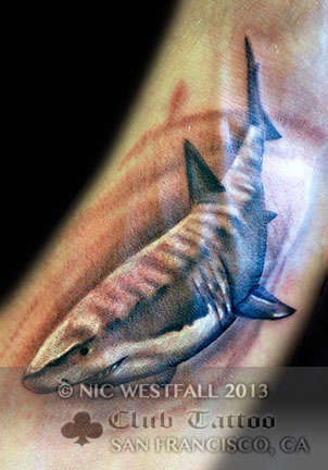 Club-tattoo-nic-westfall-san-francisco-pier-39-shark