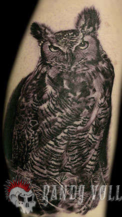 Club-tattoo-randy-vollink-scottsdale-owl-portrait-jpg