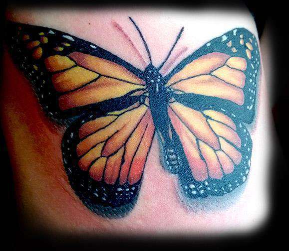 1003522_4648615708424_335689236_n