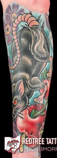 397187_206679582762196_1729147837_n