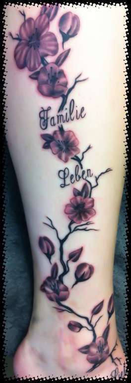 304561_4372168943681_814560711_n