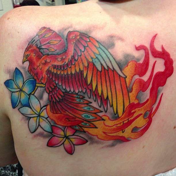 1234112_676643142364077_939879877_n